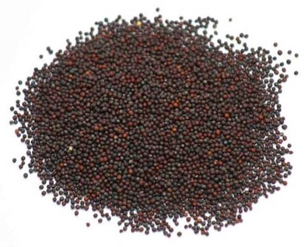 Cách trồng rau sạch tại nhà đơn giản nhất