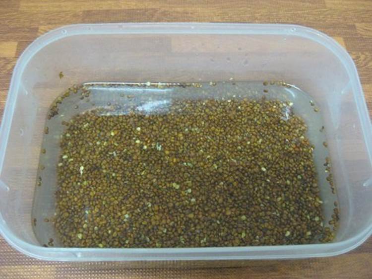 Cách trồng rau sạch tại nhà đơn giản nhất