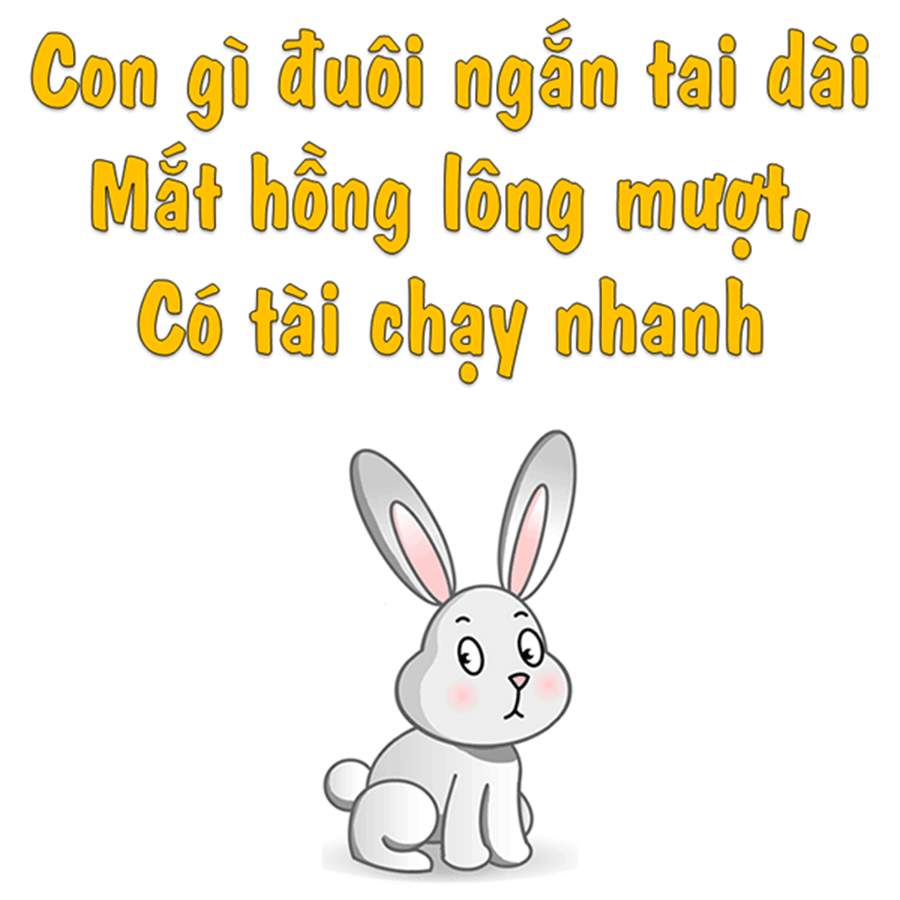 Những câu đố vui về loài vật cho bố mẹ cùng con thư giãn ngày cuối tuần