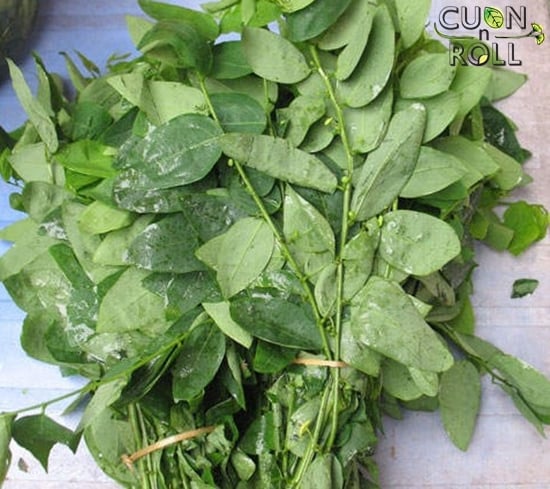 rau ngót
