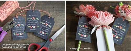 Quà tặng sinh nhật lạ, độc đáo cho bạn bè