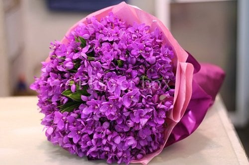 Những mẫu hoa sinh nhật đẹp cho ngày vui thêm ý nghĩa