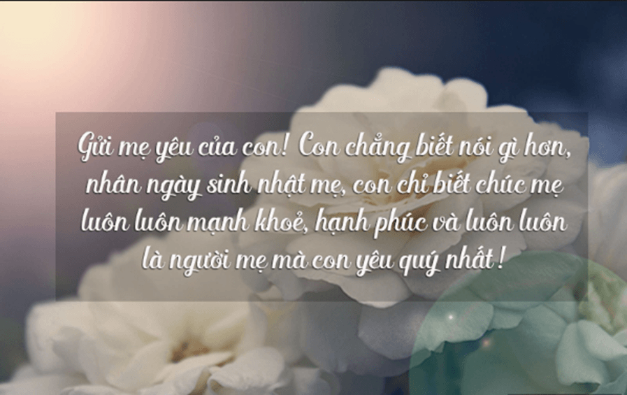 Tổng hợp lời chúc sinh nhật ý nghĩa tặng bạn bè, người thân