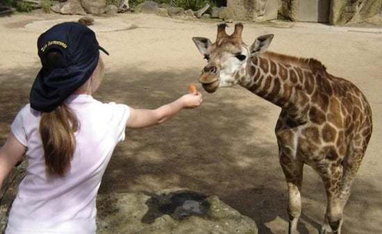 quà sinh nhật cho bé